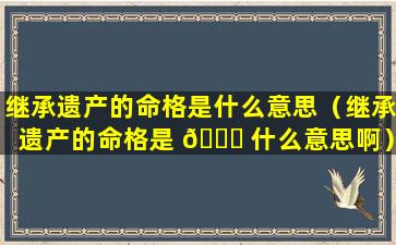 继承遗产的命格是什么意思（继承遗产的命格是 🍁 什么意思啊）